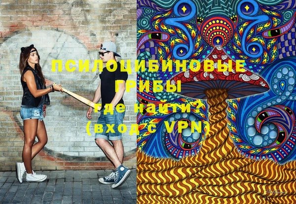 apvp Арсеньев