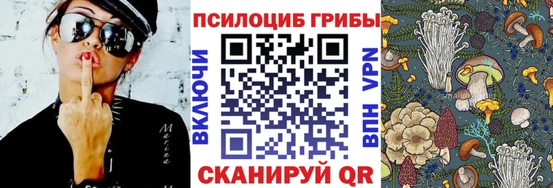 Псилоцибиновые грибы Psilocybe  blacksprut   Суздаль 