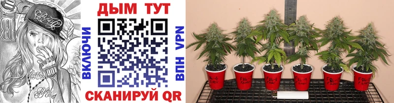 даркнет сайт Суздаль гидра ONION МАРИХУАНА LSD WEED